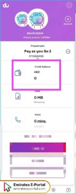 How to Check Du Balance by app
