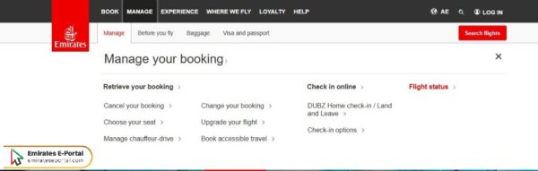 Flight Status Check Steps