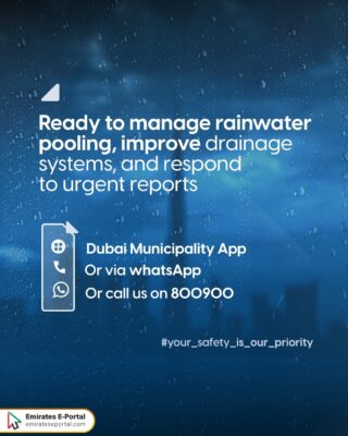 Dubai Municipality Rain Response