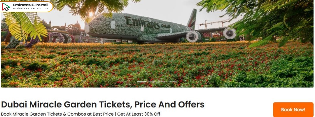 How To Get Dubai Miracle Garden Ticket