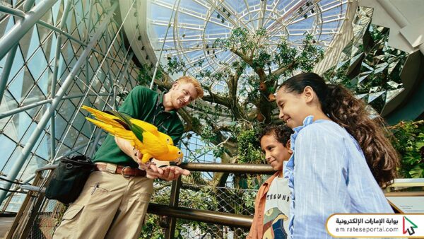 What to Do in Dubai Today