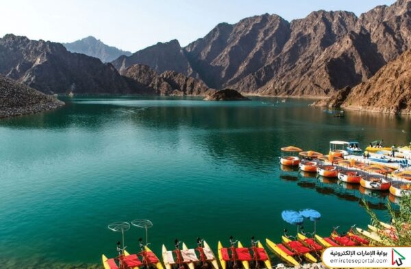 What to Do in Dubai Today